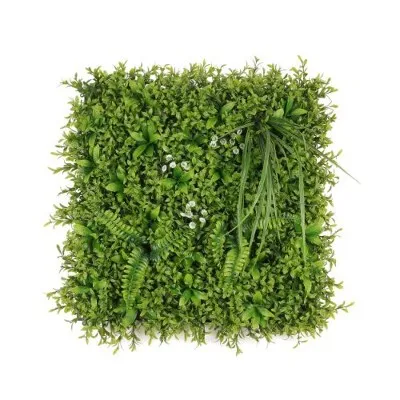 „Boxwood Wall“ žolių skydinių augalų žalioji siena